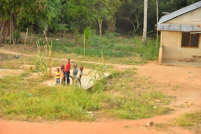 DSC_4305 (Large).JPG